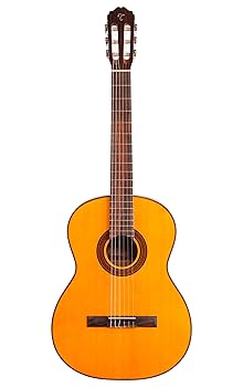 Takamine クラシックギター クラシックギター Takamine No.8